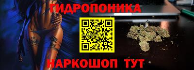 дмт Бердск