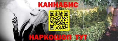 дмт Бердск