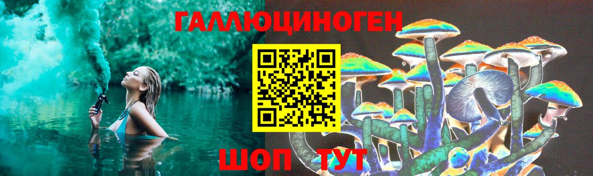 Псилоцибиновые грибы Psilocybe Батайск